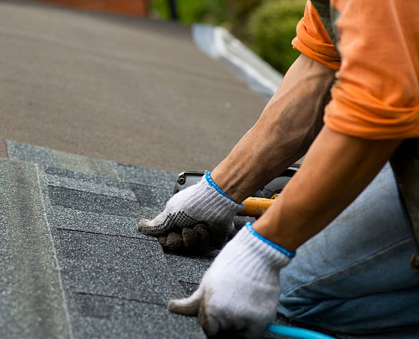 Best Roof Gutter Cleaning  in Paulden, AZ
